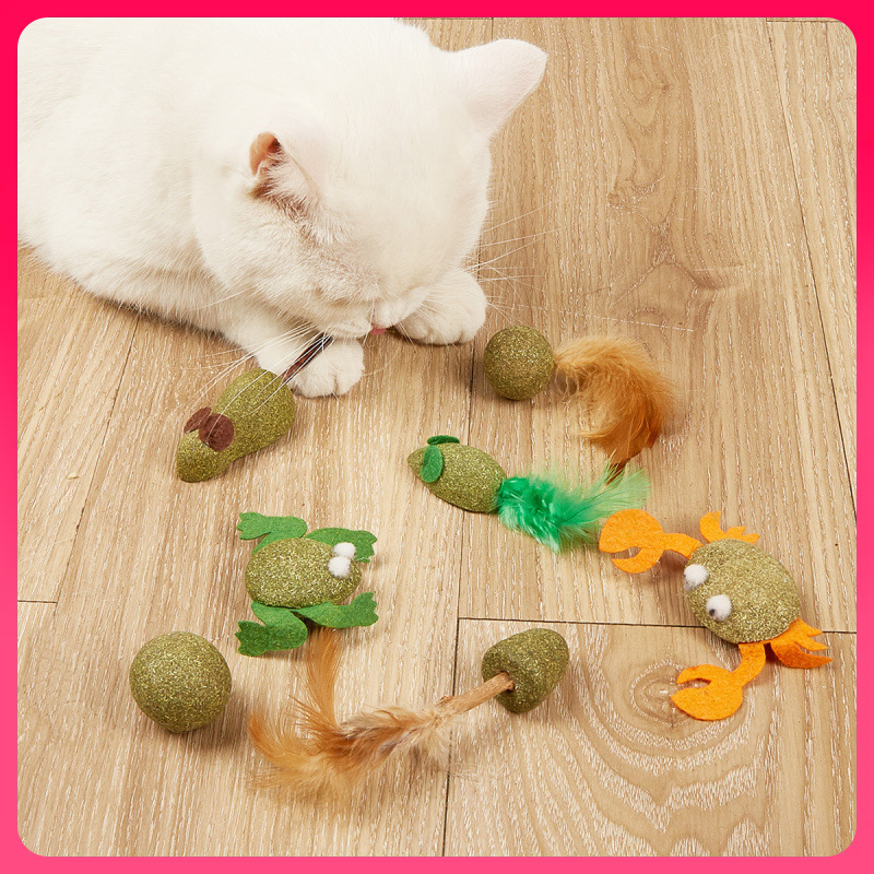 ✅新品木天蓼磨牙棒 虫瘿猫咪玩具洁齿猫草球 宠物用品猫咪玩具批