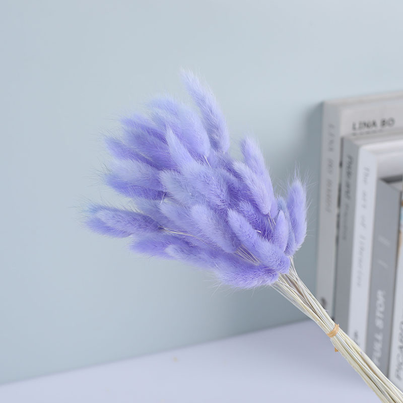 La flor eterna de la flor de la cola de conejo hierba seca 60 piezas al por mayor Dogtail hierba seca ramo de flores decoración DIY conejo hierba de la cola