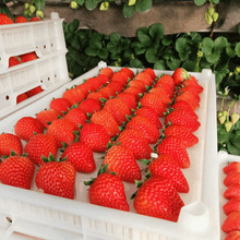 ���|99��ݮ���r�Fժ�žŖ|�������r�t�ݮ�ЋDţ��������\���]