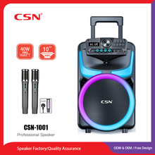 CSN-1001 ��10�������������ʱ�Яʽ���û����ɶ������TWS����