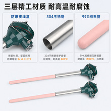 S 型铂铑热电偶WRP-130刚玉管高温传感器 0-1600℃窑炉测温铂铑丝