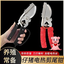 ���i��β�Q늟��β�QС�i��β��������β�����i��β���i��β���Q