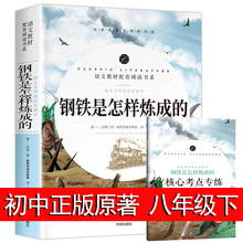 钢铁是怎样炼成的初中正版原著 八年级初中生必读课外书名著书籍