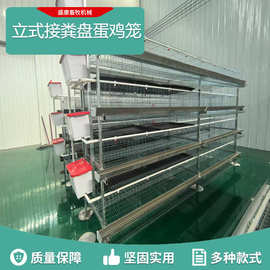 厂家销售鸡舍立式接粪盘蛋鸡笼多层立体养殖笼蛋鸡养殖鸡笼