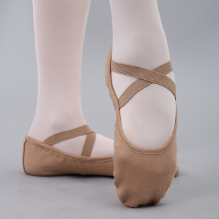 Belly Dance Shoes Practice Shoes Professional Yoga Dance Shoes Soft Sole Adult Lace-free Cat Paw Shoes Women's Classical