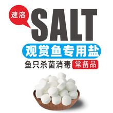 �~���~�ך������}�Օ���}���w������}�B�~�}ˮ���~�׺��}���I�}