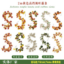 �羳�����＾�ٗl�Ҿ��b[���＾�ж����S�չ����÷�����~�ٗl