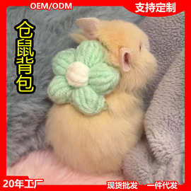 仓鼠背包金丝熊背篓手工书包小宠物衣服毛毯毛线网红帽子服装裙子