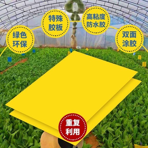Sticky Bug Board Double-Sided Fruit Fly Attractant Board Vegetable Field Pest Control Mosquito Fly Trap Bee Yellow Sticky Trap Thrips Yellow Board