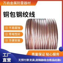 铜包钢绞线镀铜绞线水平接地线防雷多股绞线铜覆钢绞线铜包钢圆线