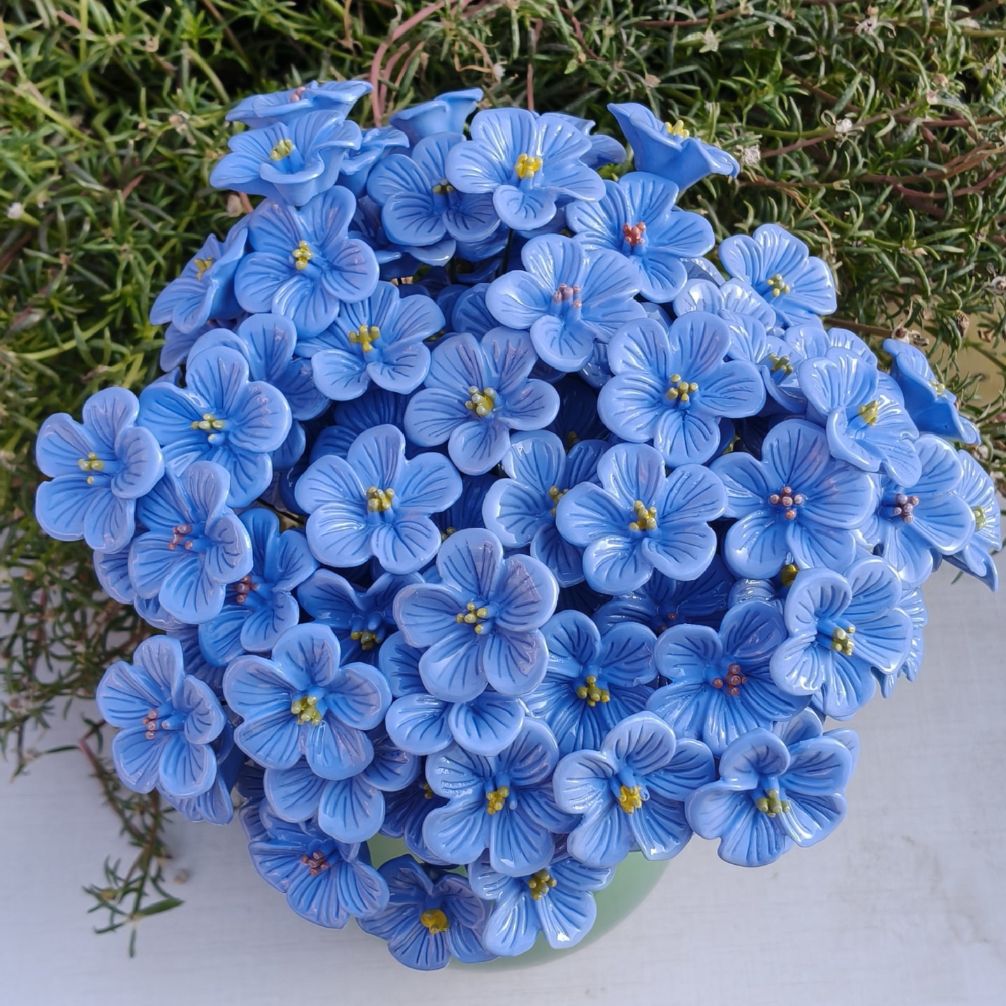 F816977C8B5B921B54A069377DCB7E