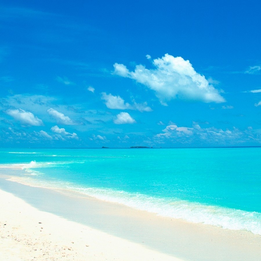 Sexy Underwear Sexy Backless Temptation Mesh Perspective Butterfly Neck Sling Nightgown Pure Desire to Uniform Backless suit