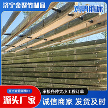 SuZ©SBֳưɶlľB©S