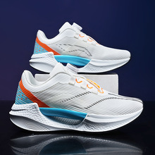 C3O^ӰpܲЬϵﶬ׻p~\