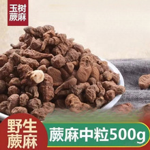 5�����ຣ���ާ���˅���5g�����Ҝ�������������Ұ��