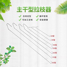 密植园苹果树主干型拉枝器开角器压枝别枝定型器大樱桃树李梨批发