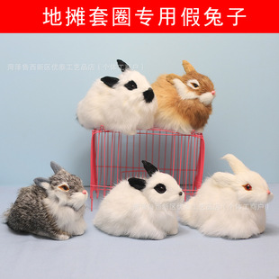 ���l��������С����ģ����Ȧ�R���ؔ������ӵ���ģ��ë�q�����ż