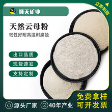 ���F؛���������ĸ�� ���l�o������T�����ĸ�� �͸��g�͸ߜ�