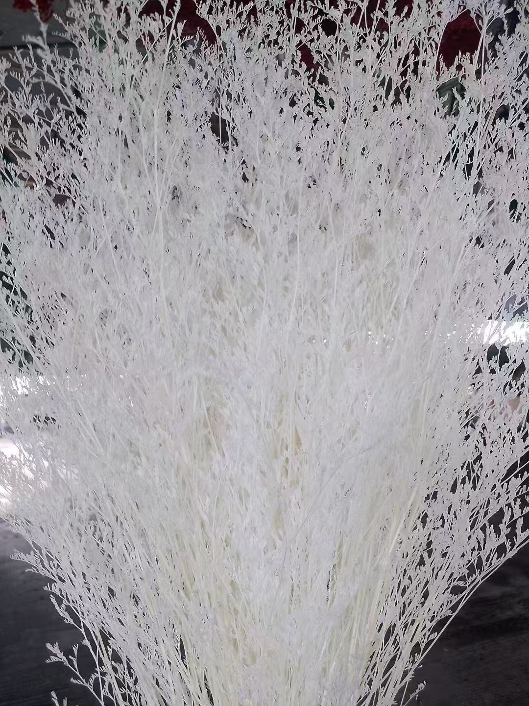 화이트(1묶음 100g)