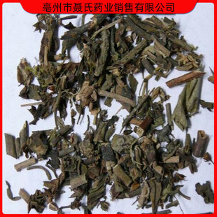 ��ș�����l �������� ���ɲ� �M�������� ߀ꖲ� ϐ�Ӳ�