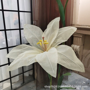 ���ͷ��漈����z���ٺϻ���c·���̘I��̨��ꐹ����b�������