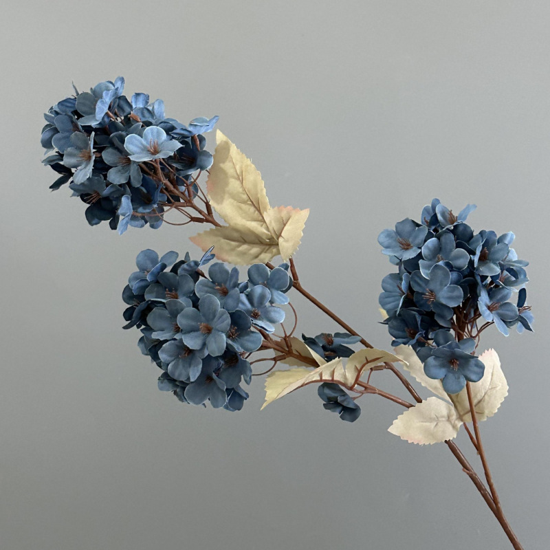 3头绣球色雾霾兰