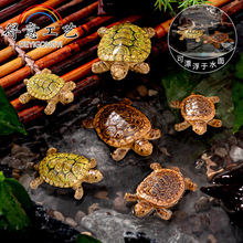 创意漂浮小乌龟摆件鱼缸假山盆景海龟装饰品庭院水池微景观小摆件