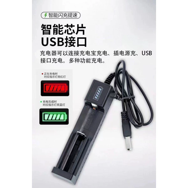 [2充电器+锂电池2节 没有吹风机]