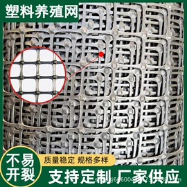 防护栏;养殖网;护栏网