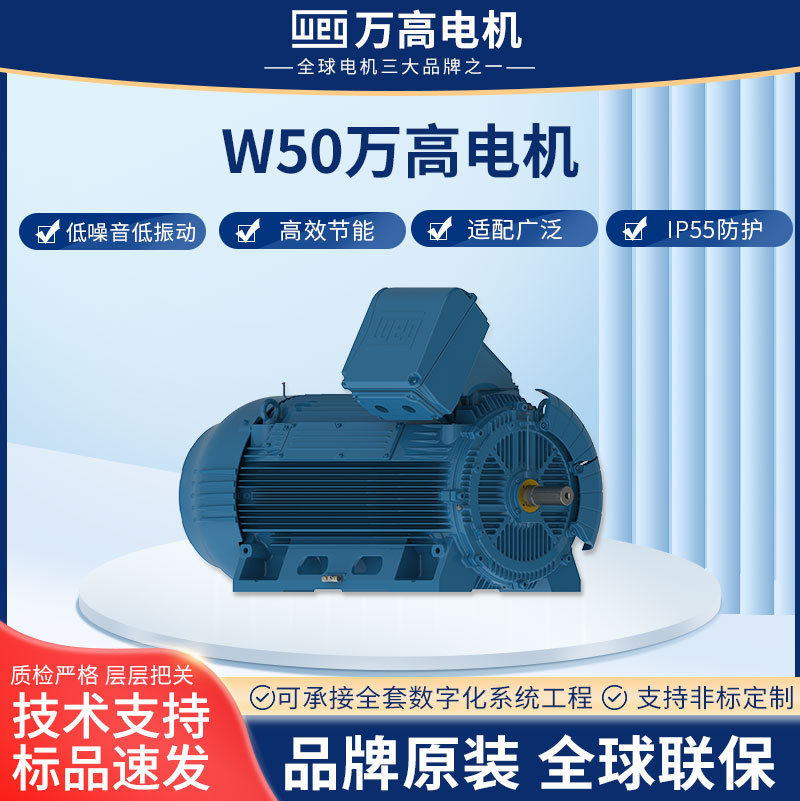 批发W50重载中高压电机输送制粒造纸离心风机专用电机原装正品
