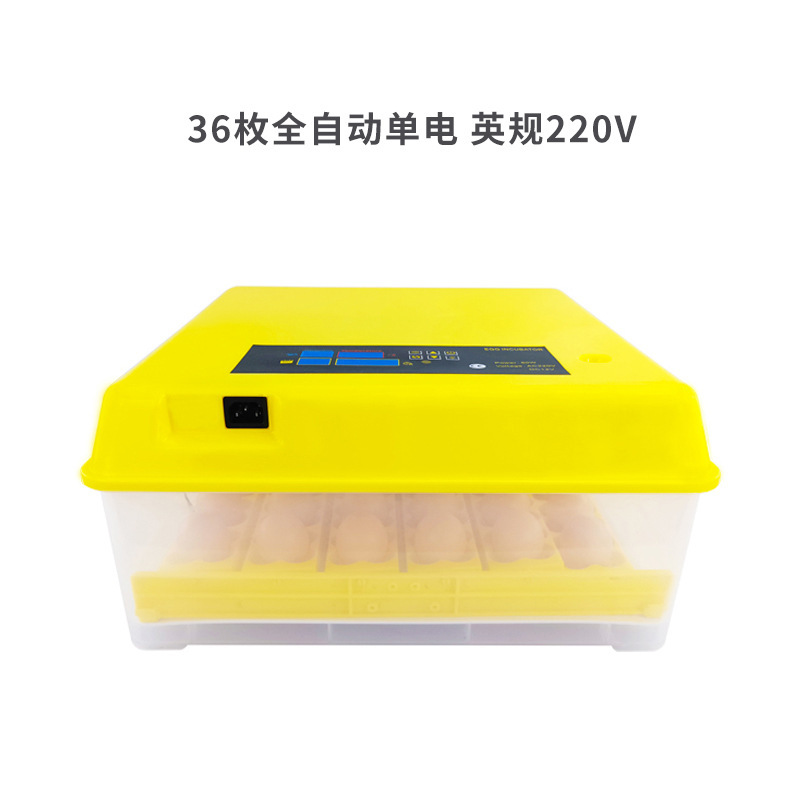 Nuevo 36 huevos incubadora automática pequeño termostato doméstico paloma codorniz pájaro huevo incubadora inteligente