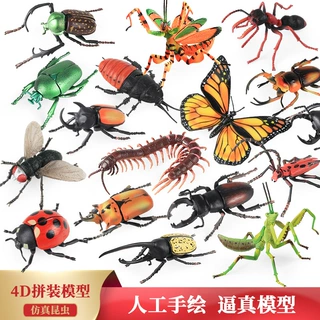 仿真4D立体拼装玩具昆虫动物模型蝗虫青甲虫七星瓢虫蜈蚣蜻蜓黄蜂