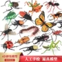 立体仿真拼装4d昆虫