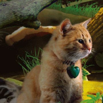 -(三维)(立体效果)-尽在深圳上誉3D书签制作上