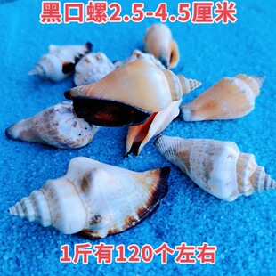 ���l��Ȼؐ�����ݺ��Ǻڿ����~�׵�̨DIY΢���^����