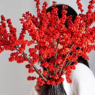 ���궬��lؔ�t����ֱ�N����ɻ��ٻ�����ȫ���b�Ʒ�}�Q�������l