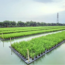 厂家批发水稻种植EVA漂浮板儿童游泳漂浮eva泡沫板温室鱼塘漂浮板