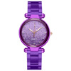 Watch, fashionable starry sky, quartz watches, steel belt, new collection