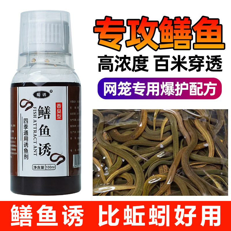 Pequeña medicina para anguila, cebo de cebo