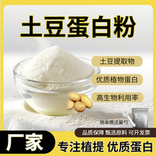 土豆蛋白粉98% 土豆提取物食品级固体饮料水溶蛋白粉厂家直发