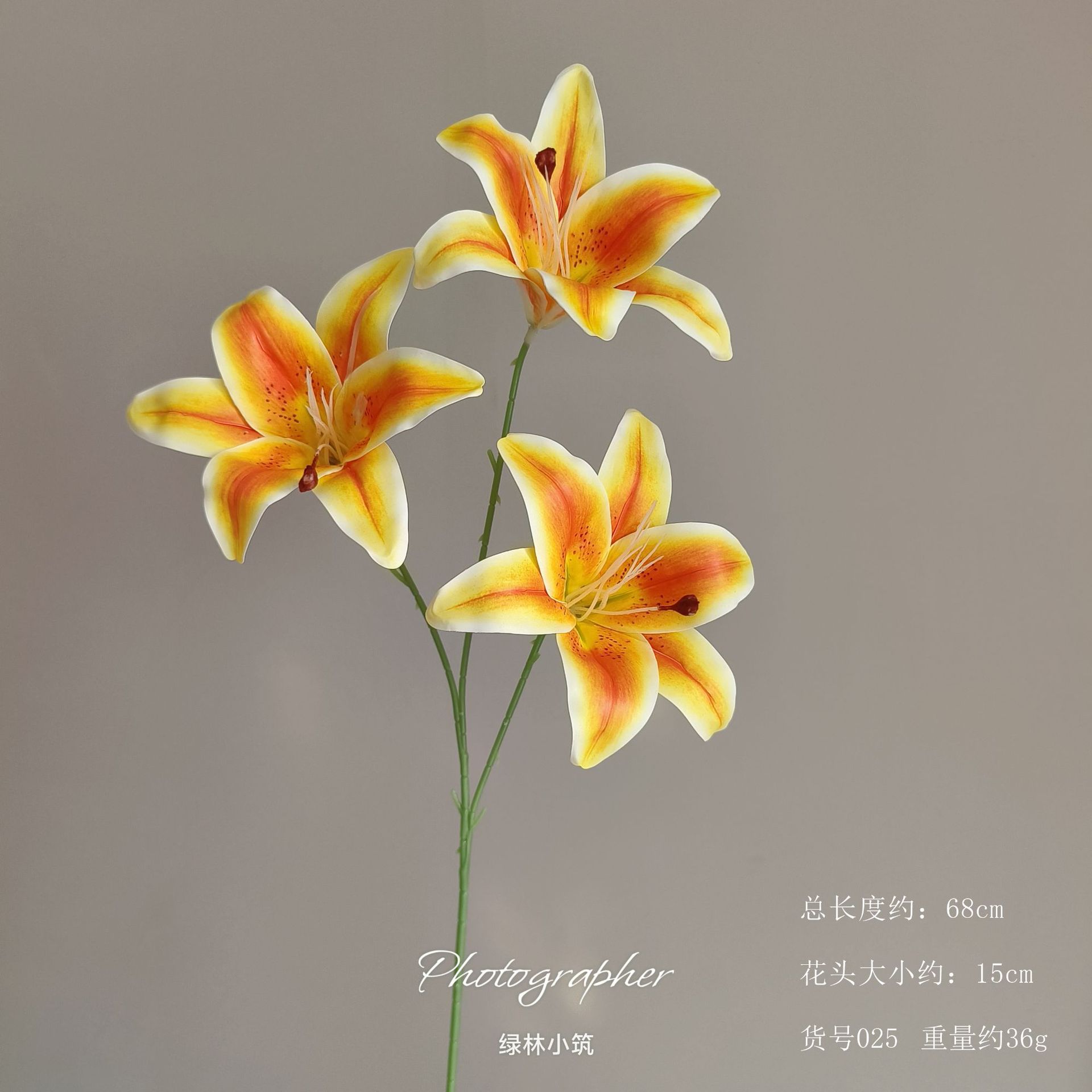 품목번호 025-잎이 없는 백합-오렌지