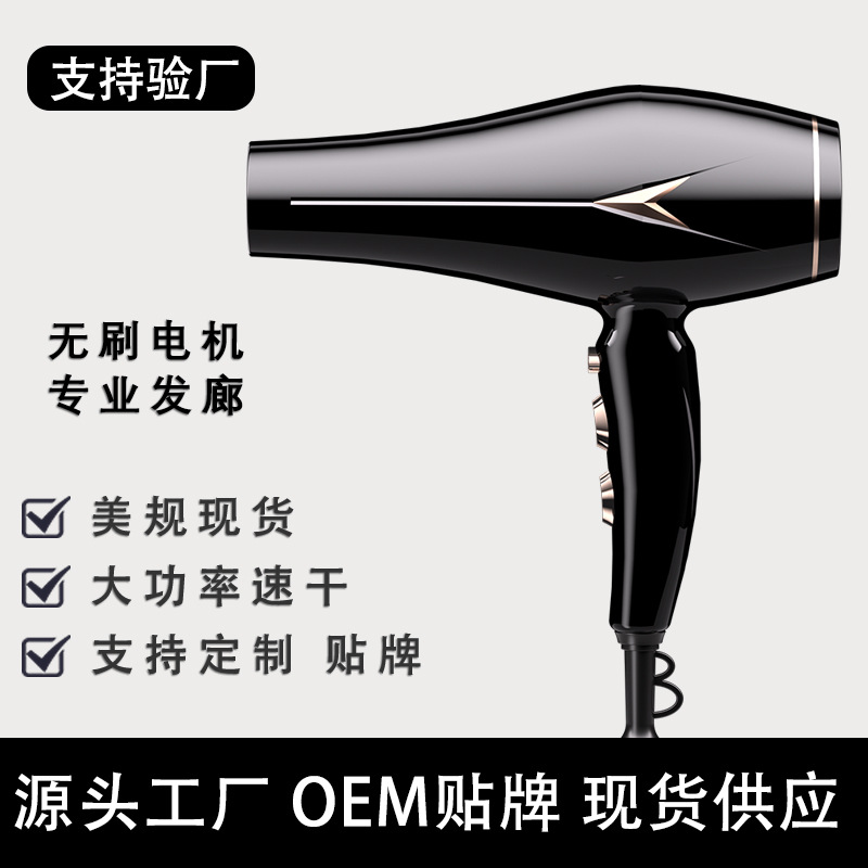 Secador de Pelo Profesional con Iones Negativos de Plástico para Peluquería y Hogar