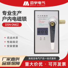 户内电磁铁 dsn-dm2户内使户内电磁锁 手柄式高压开关柜电控锁