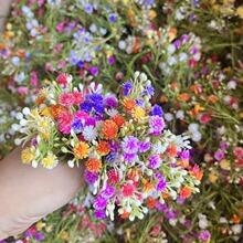 �S�����l���ϝM���� ��c�������M���ǻ����b���diy���滨���