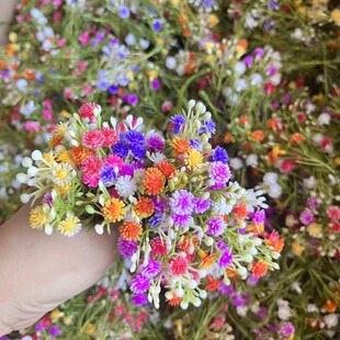�S�����l���ϝM���� ��c�������M���ǻ����b���diy���滨���