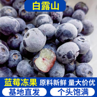 蓝莓冻果-阿里巴巴