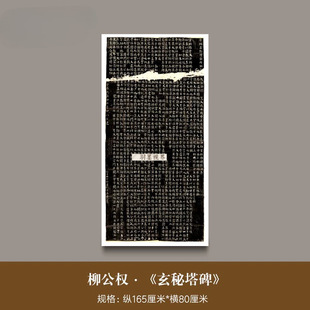 �������ࡶ��������������΢���v�������������wë�P�������T����