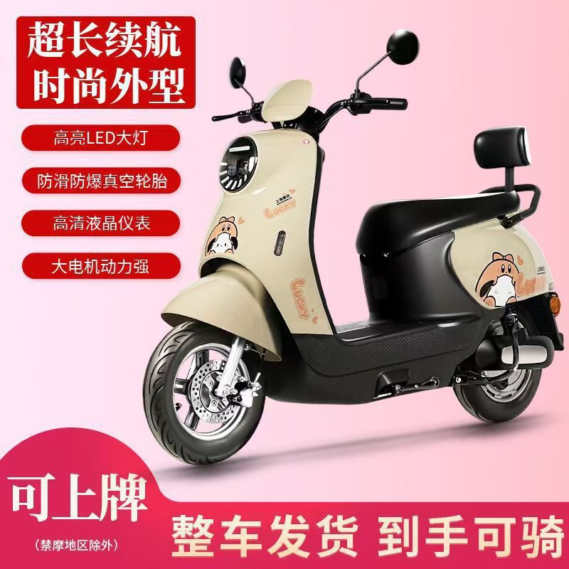 Electric Scooter, Xiao Gui Auto Parts and Accessories - 1200w-60v26a-black-gold-lead-acid-battery