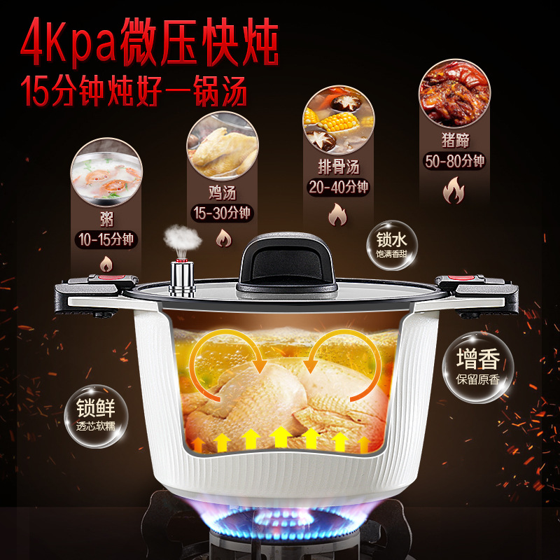 SSGP Micro Pressure Cooker Multifunctional Safety Explosion-proof Stew Pot and Soup Pot Pressure Cooker Gas Stove Ceramic Double-Ear Stew Pot