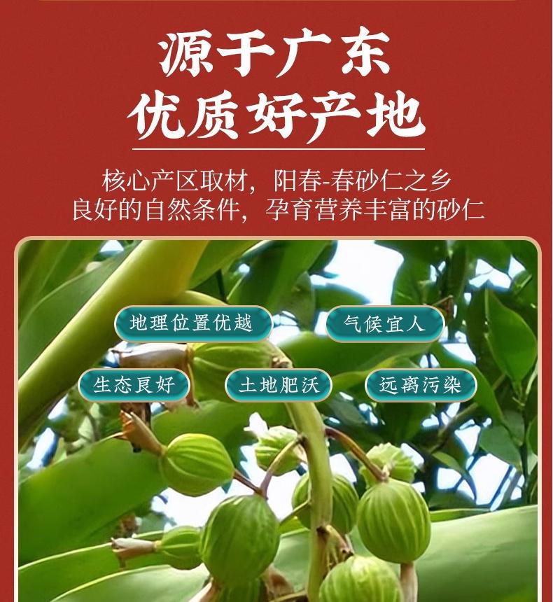 Chun Sha Ren Amomum Fruit 500g Dried Yangchun Amomum villosum Traditional Chinese Herb for Cooking and Decoction key features